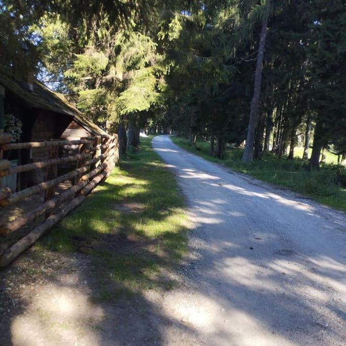 Almhuette Villa Waldenstein  Buitenkant foto