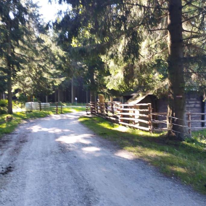 Almhuette Villa Waldenstein  Buitenkant foto